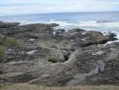 PICTURES/Oregon Coast Road - Cape Perpetua/t_IMG_6393.jpg